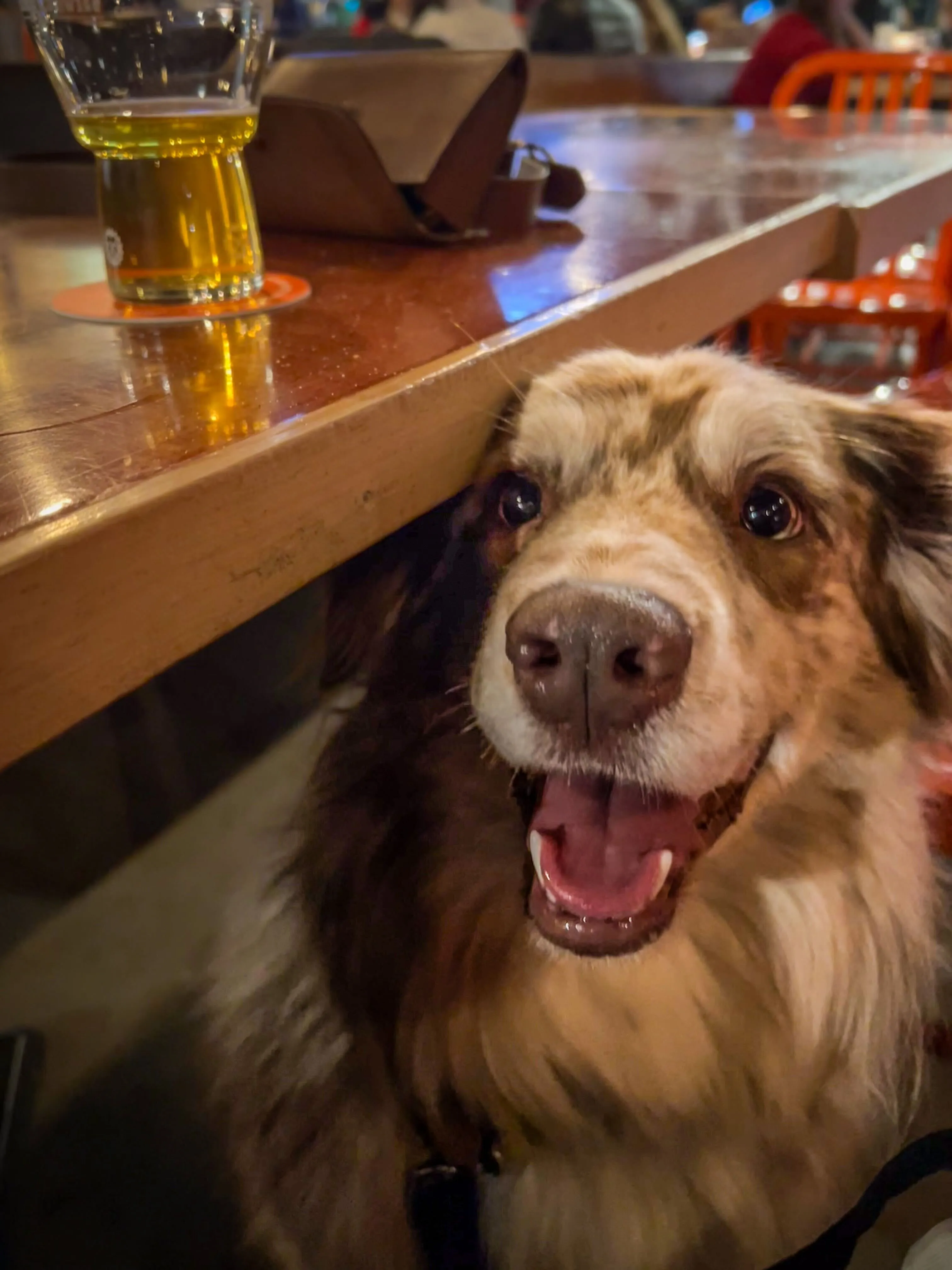 Phoebe at The Brewing Projekt
