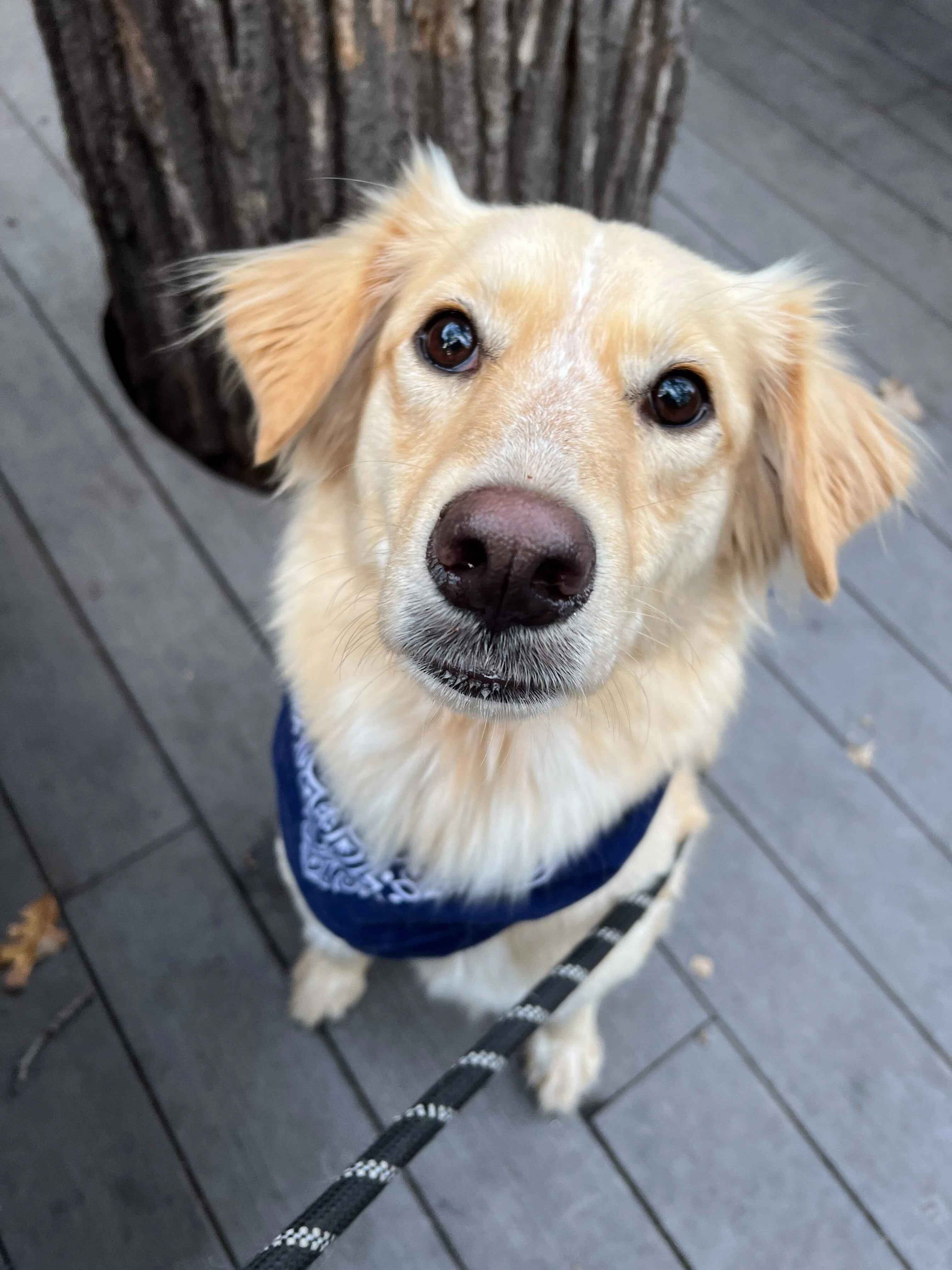 Winston at Sea Salt in Minneapolis, MN